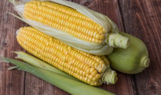 烤箱烤玉米要多久 烤箱烤玉米需要多久