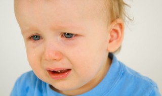 哭包是什么意思 哭包 英文