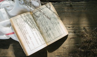 炳若观火成语意思（炳若观火近义词）