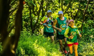 什么是定向运动 什么是定向运动的基本运动方式