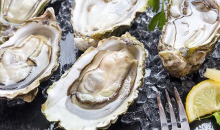 烤生蚝的调料汁怎么做 烤生蚝的调料汁怎么做好吃