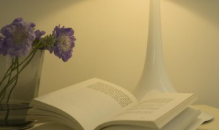 任作为姓氏怎么读 任作为姓氏读几声