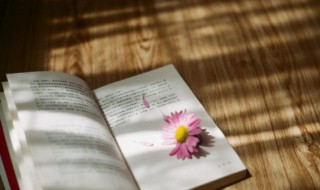 东道主成语意思 东道主 释义