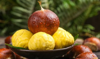 板栗有什么功效与作用（板栗有什么功效与作用及禁忌?）