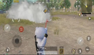 和平精英训练场有烟雾弹吗?（和平精英训练场有烟雾弹吗）