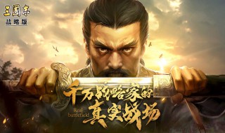 三国志战略版s2开局最佳武将（三国志战略版s2开局最佳武将排名）