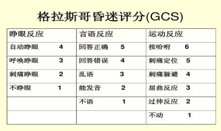 gcs评分标准 gcs评分标准昏迷分级E1vtm1