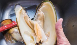 蚌肉的副作用及禁忌 蚌肉的功效与禁忌