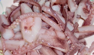 鱿鱼的功效与作用 鱿鱼的功效与作用禁忌