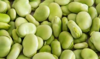 干锅蚕豆制作方法 干锅蚕豆做法窍门窍门