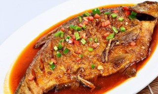 鲫鱼做家常菜的方法（鲫鱼做法大全）