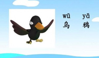 动脑筋的小乌鸦的故事（脑筋急转弯乌鸦嘴）