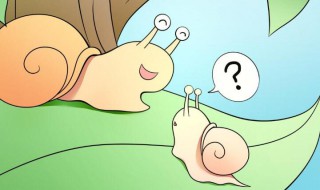 蜗牛壳的故事 蜗牛壳故事免费下载