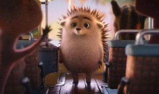 神奇的小刺猬的故事 神奇的小刺猬的故事有哪些