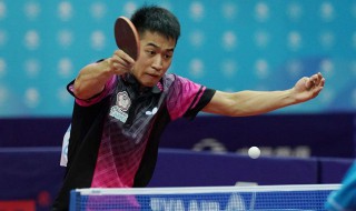 江宏杰是哪国的乒乓球员 江宏杰代表的是哪国队