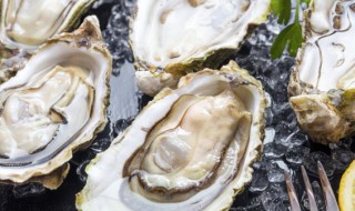 生蚝有什么作用与功效 生蚝有什么作用与功效禁忌