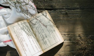 心照不宣注释及造句（心照不宣注释及造句大全）