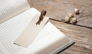 站组词语（站组词语有哪些词语）