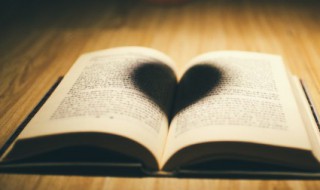 素的组词 宿的组词