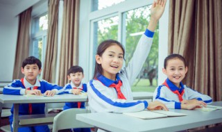 龟的组词（顶的组词）