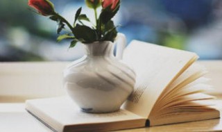 增字组词(增字组词有哪些)