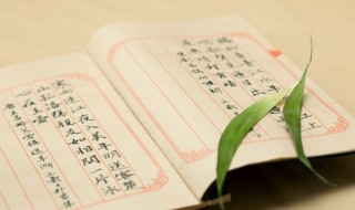 丽鹿读什么（丽鹿读什么字）