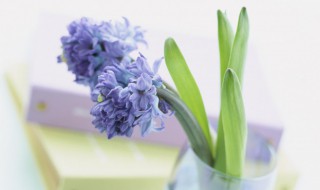 三点水加翟读什么（三点水加翟读什么 姓）