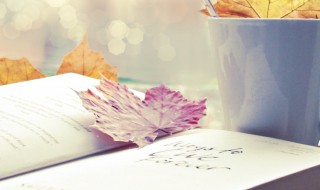 大师傅是什么意思 大师傅的意思