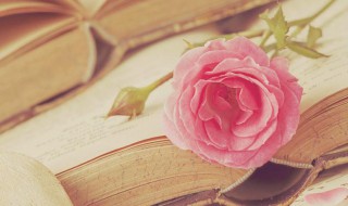 花言巧语是什么意思（女生说男生花言巧语是什么意思）