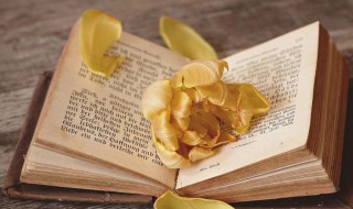 为非作歹是什么意思 为非作歹是什么意思怎么解释打一生肖是什么生肖