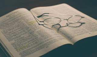 谢庭兰玉是什么意思（白玉兰意思）