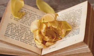 气象观测场是什么意思 气象观测场图片