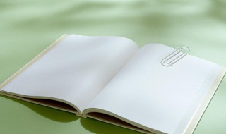 飞毛腿是什么意思(飞毛腿全称)