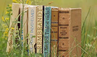 言行相顾是什么意思 言行相顾是什么意思解释