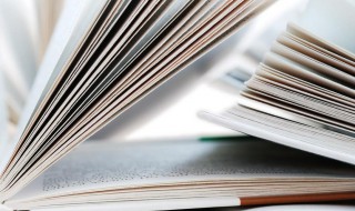 画虎类犬是什么意思 画虎类犬类的意思