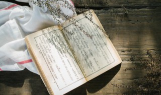 是而非之非而是之的意思（是而非之非而是之的意思是什么）