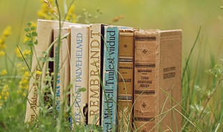 前人失脚后人把滑的意思 前人失脚,后人把滑