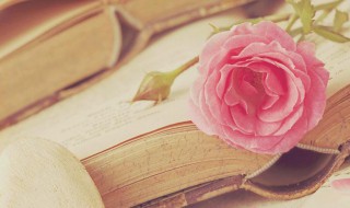 民为邦本本固邦宁的意思（“民惟邦本,本固邦宁”）