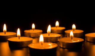 蜡烛花是什么意思(蜡烛花代表什么意思)