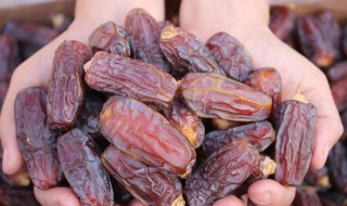 吃干椰枣有什么功效 吃干椰枣有什么功效与作用