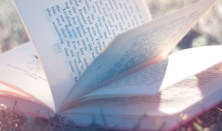 不以为耻反以为荣的意思 不以为耻反以为荣的意思是什么