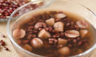 茯苓甘草的功效与作用（茯苓甘草汤的功效与作用）