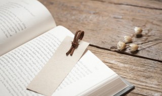 抒情诗是什么意思 什么叫抒情诗