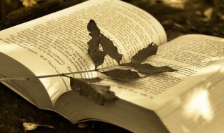 出自意外的意思（意外的意思解释）