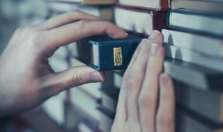 单一制是什么意思（国家单一制是什么意思）