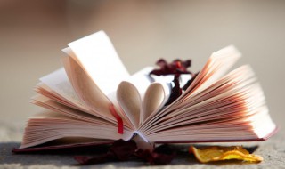 袷衣是什么意思 撙衣的意思