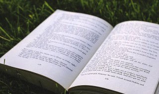 兼程并进的意思(兼程而进是什么意思)