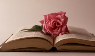 俯首帖耳的意思 俯首帖耳意思造句