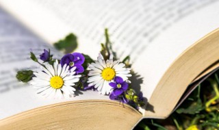 抉目吴门的意思 抉目东门什么意思