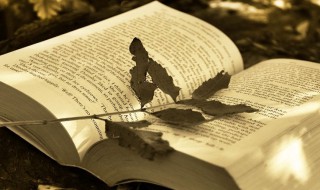 愚者千虑或有一得的意思 愚者千虑必有一得意思